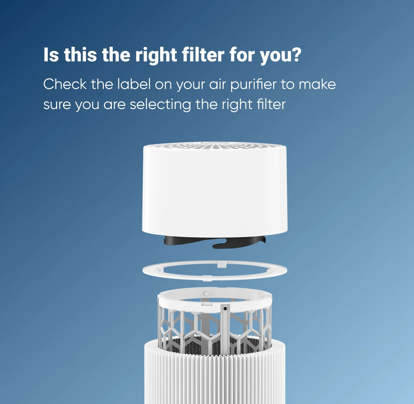 Blue 411/3210 Series Particle + Carbon Filter - Image 3