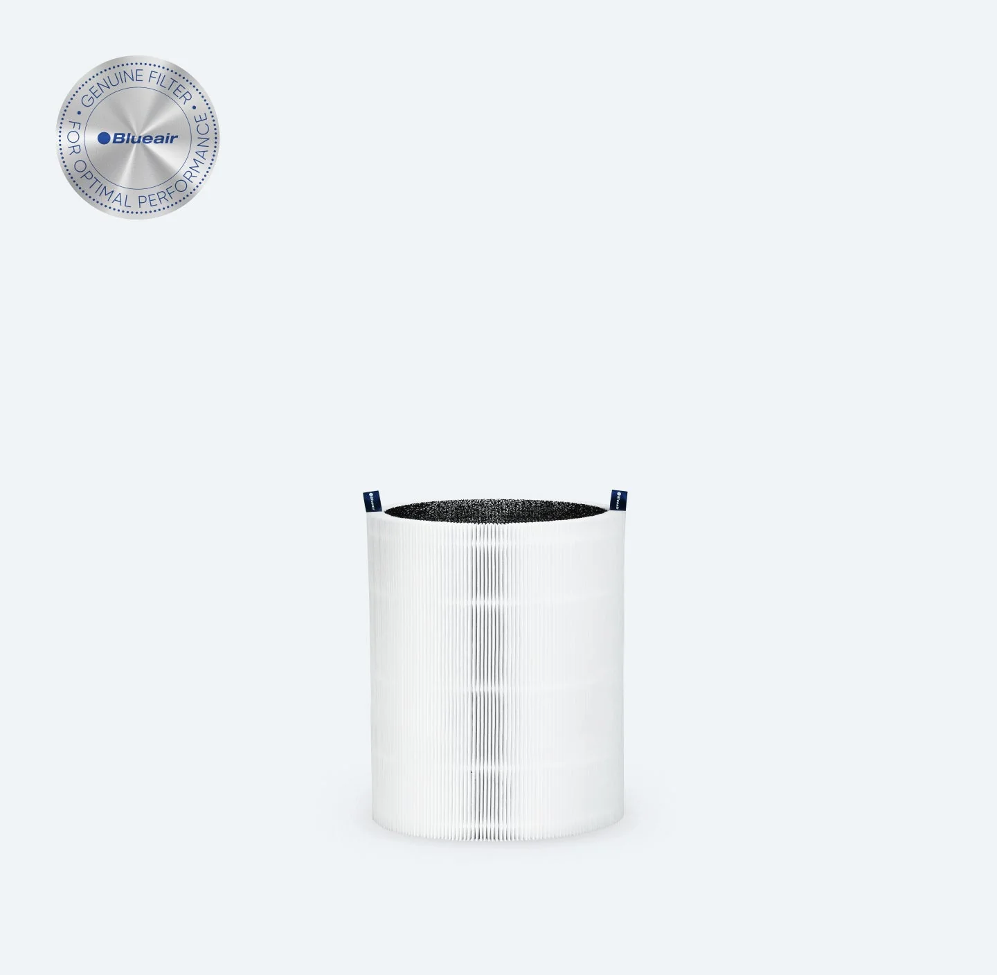 Blue Max 3350i Particle + Carbon Filter
